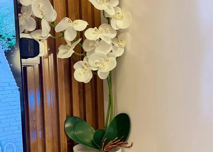アパート New Listing! Shell Residences At Mall Of Asia,